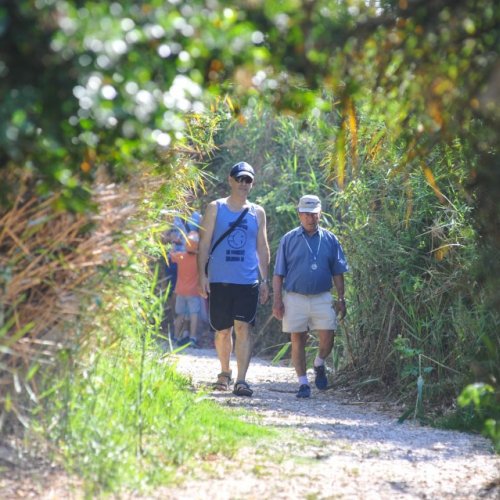 צעדת קרית ביאליק 2017