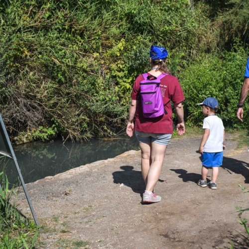 צעדת קרית ביאליק 2017