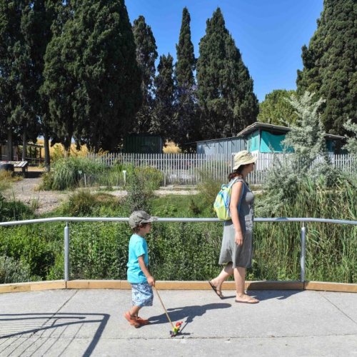 צעדת קרית ביאליק 2017