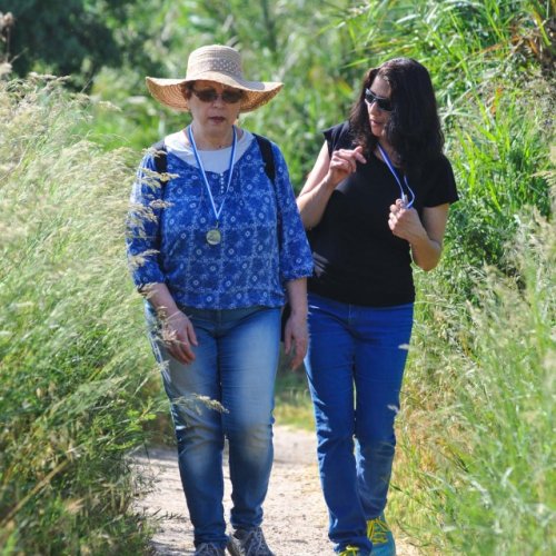 צעדת קרית ביאליק 2017