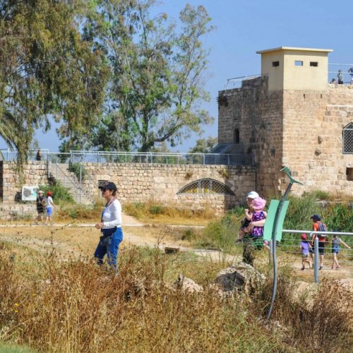 צעדת קרית ביאליק 2017