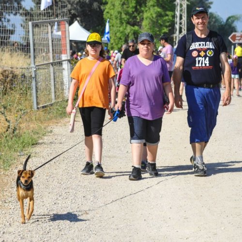 צעדת קרית ביאליק 2017