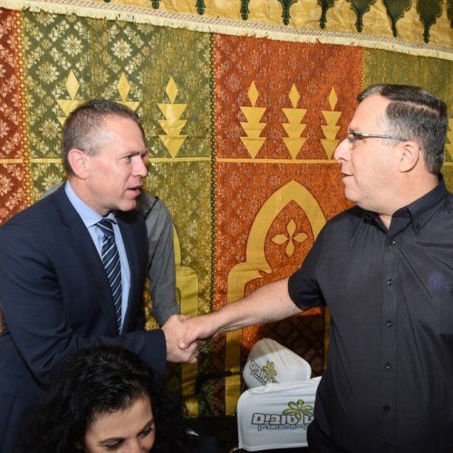 חגיגות המימונה תשע