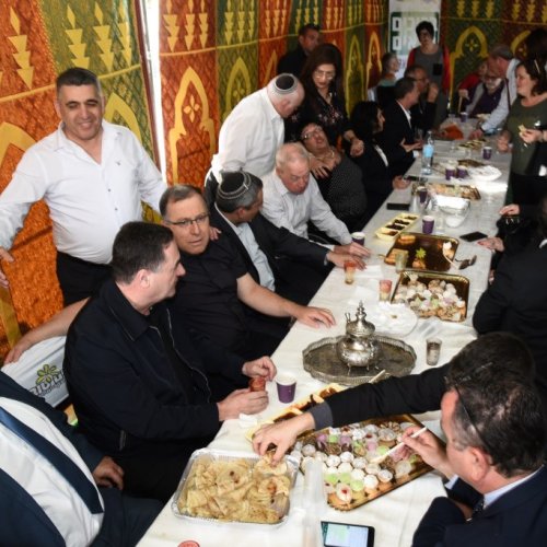חגיגות המימונה תשע