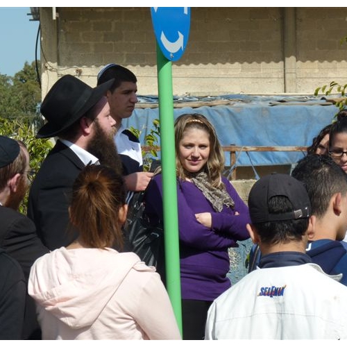 נטיעות באזור התעשייה בקרית ביאליק