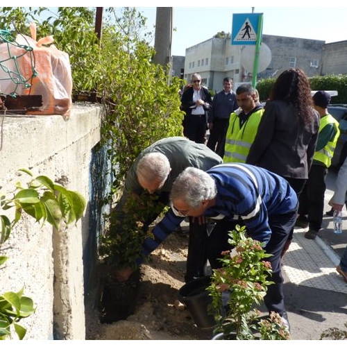 נטיעות באזור התעשייה בקרית ביאליק