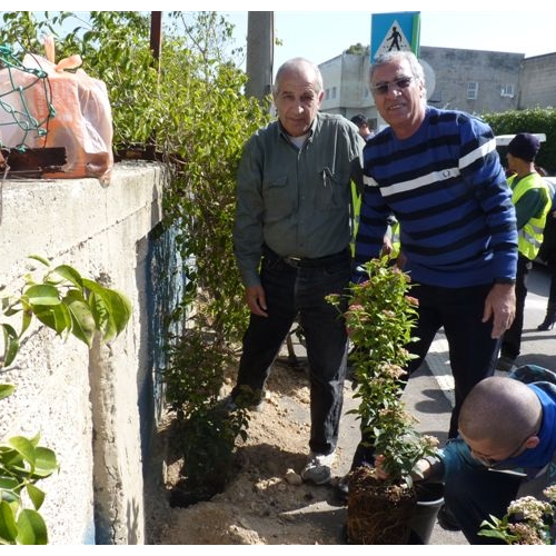 נטיעות באזור התעשייה בקרית ביאליק
