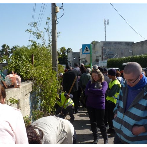 נטיעות באזור התעשייה בקרית ביאליק