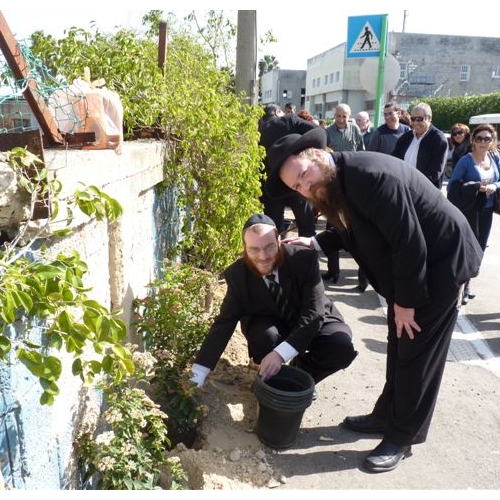 נטיעות באזור התעשייה בקרית ביאליק