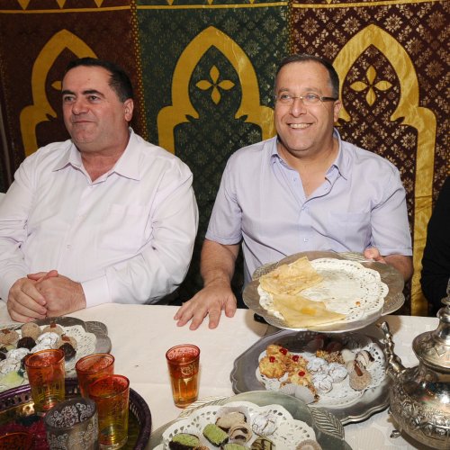 חגיגות המימונה 2013