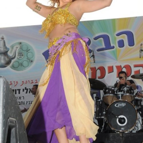 חגיגות המימונה 2014