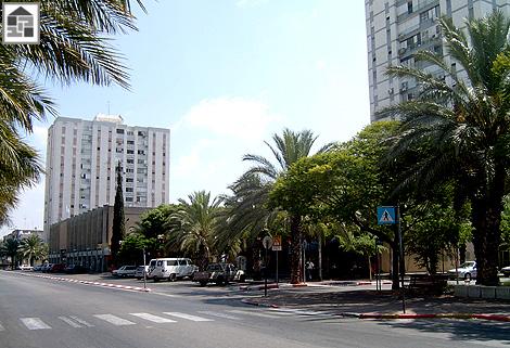 גלריה כללי