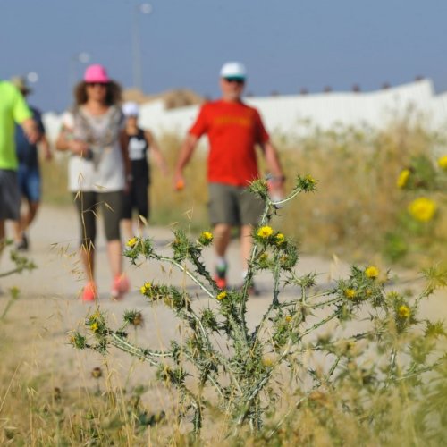 צעדת קרית ביאליק 2017