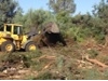 החלו עבודות הפיתוח להקמת השכונה החדשה ''נאות אפק'' בקריית ביאליק